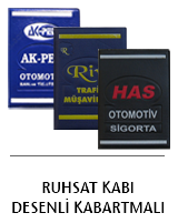 6-ruhsat-kabi